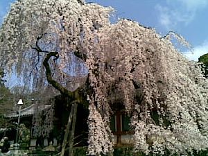 29032009(001).jpg