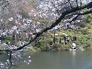02042009(001).jpg