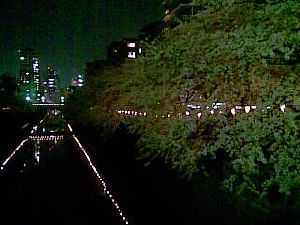 06042009(004).jpg