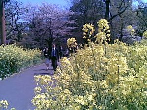07042009.jpg
